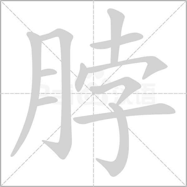 脖字笔顺动画