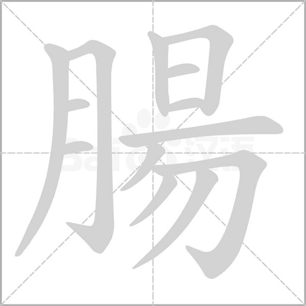 腸字笔顺动画