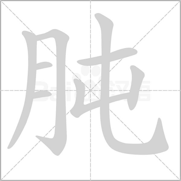 肫字笔顺动画