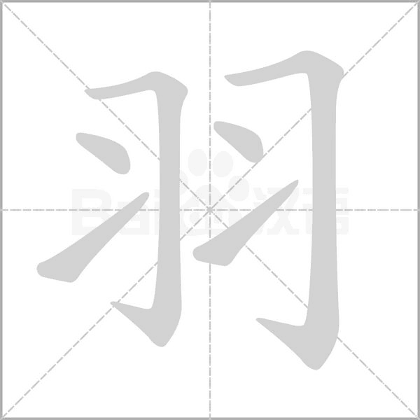 羽字笔顺动画