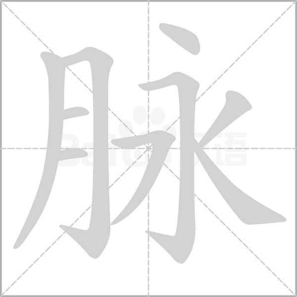 脉字笔顺动画