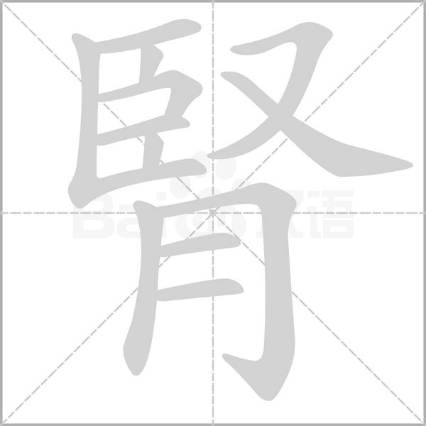 腎字笔顺动画