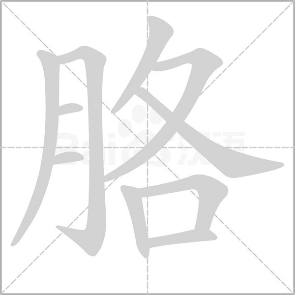 胳字笔顺动画