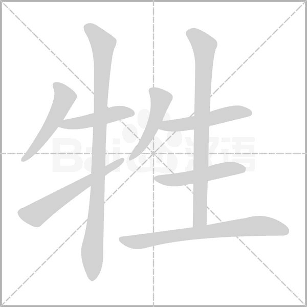 牲字笔顺动画