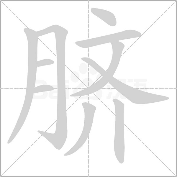 脐字笔顺动画