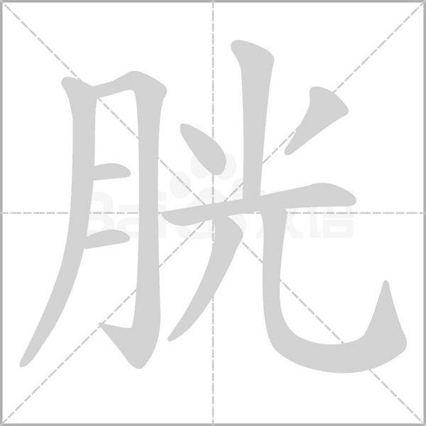胱字笔顺动画