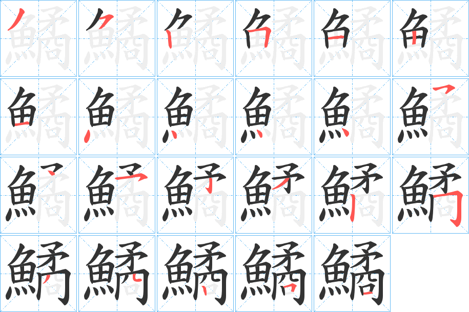 鱊字笔顺写法