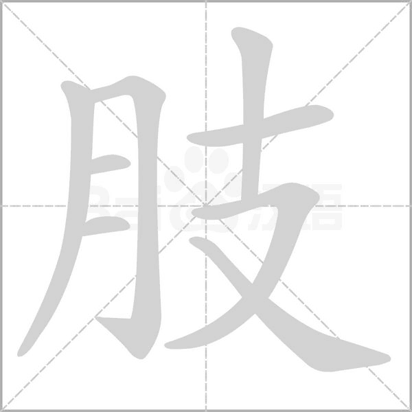 肢字笔顺动画