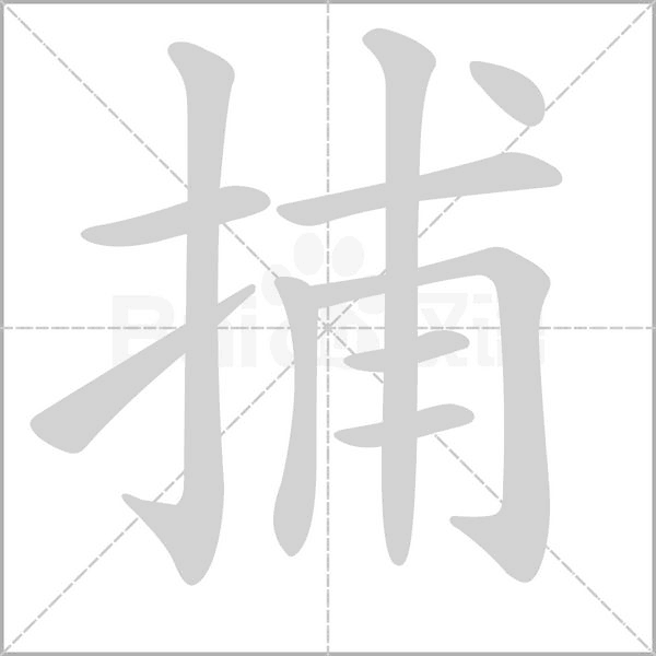 捕字笔顺动画