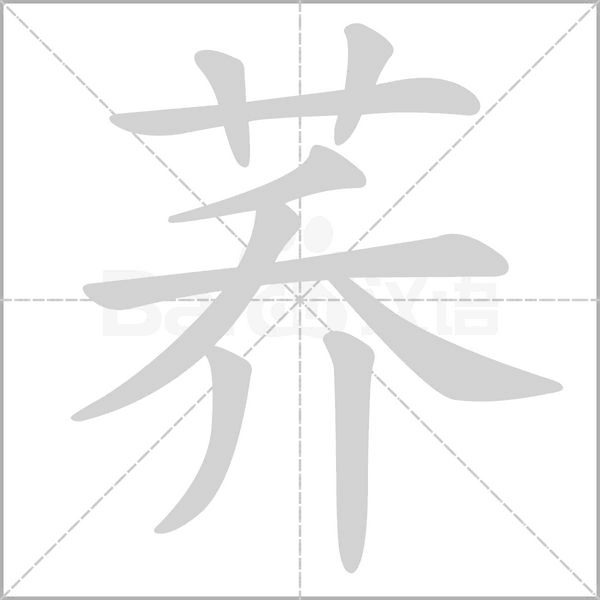 荞字笔顺动画