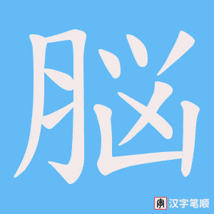 脳字笔顺动画