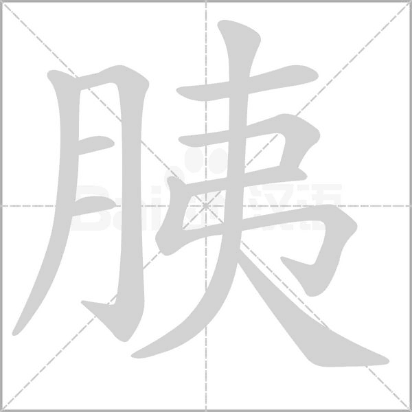 胰字笔顺动画