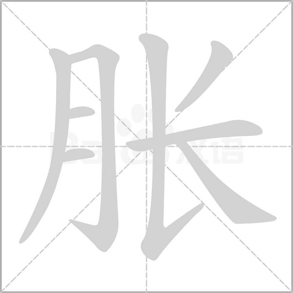 胀字笔顺动画