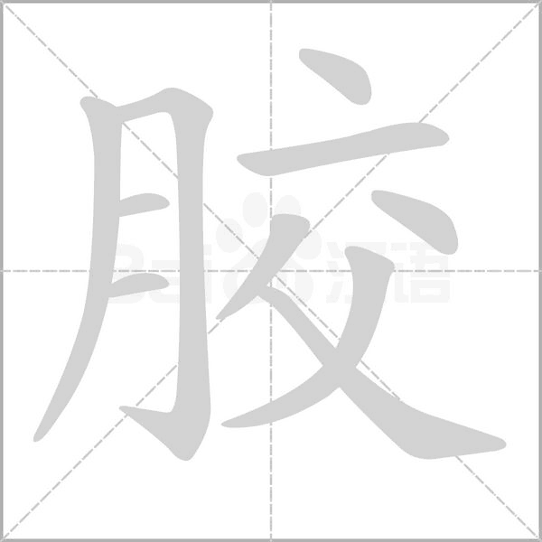 胶字笔顺动画