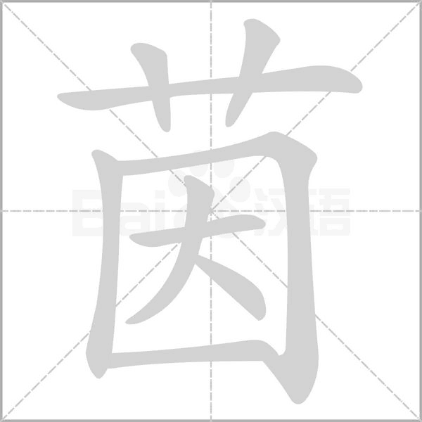 茵字笔顺动画