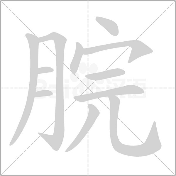 脘字笔顺动画