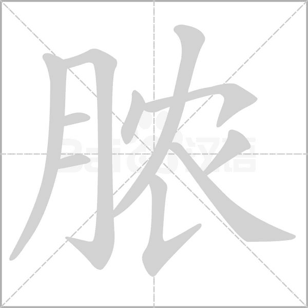 脓字笔顺动画