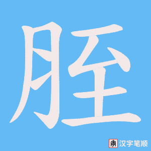 胵字笔顺动画