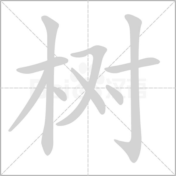 树字笔顺动画