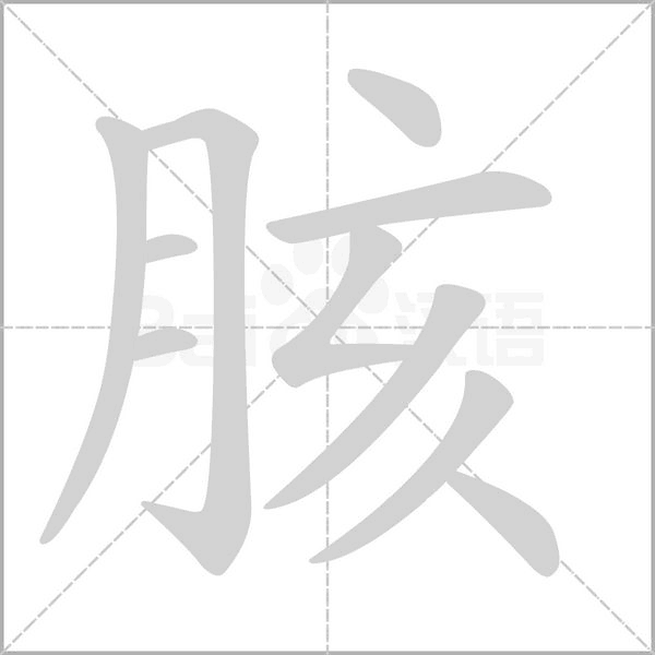 胲字笔顺动画