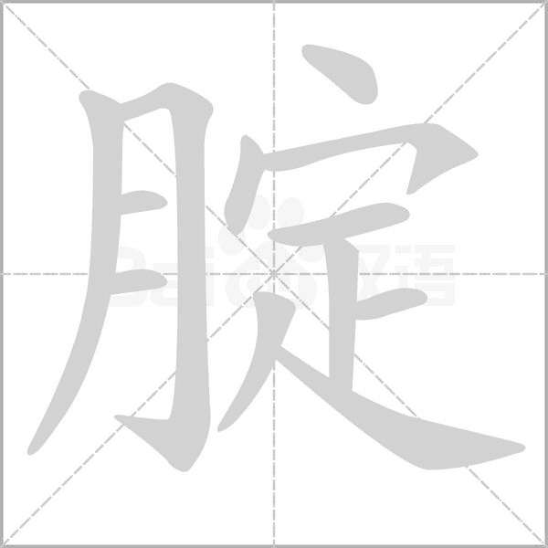 腚字笔顺动画
