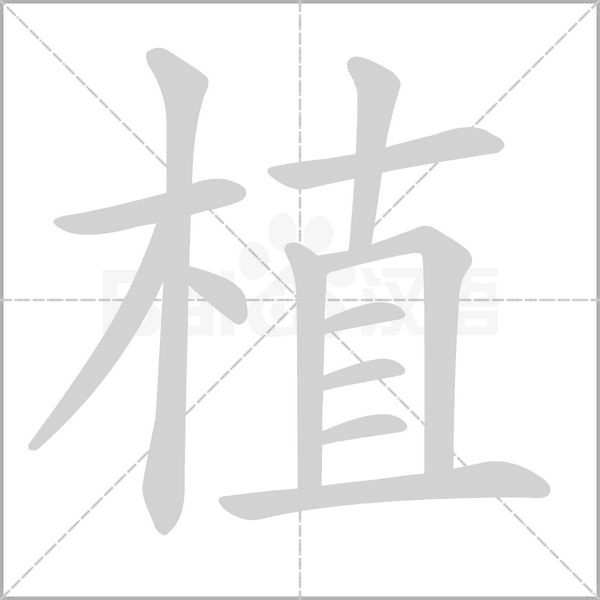 植字笔顺动画