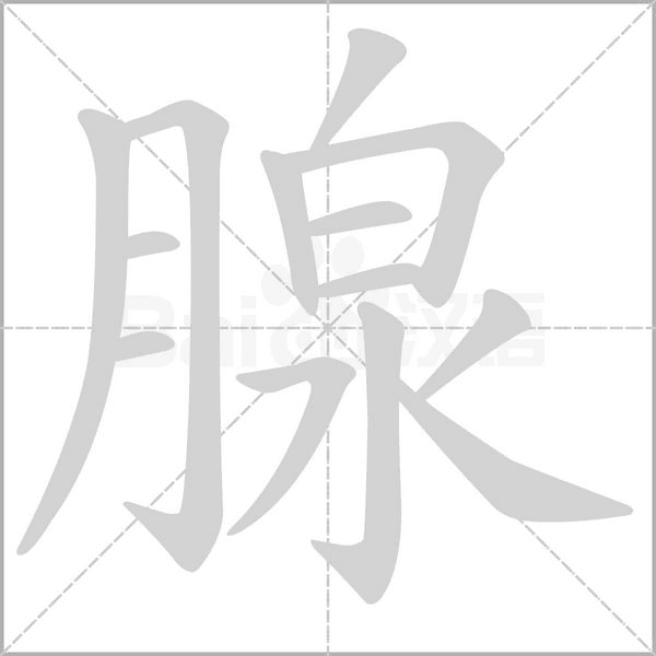 腺字笔顺动画