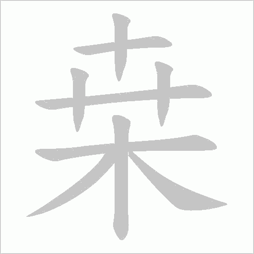 桒字笔顺动画