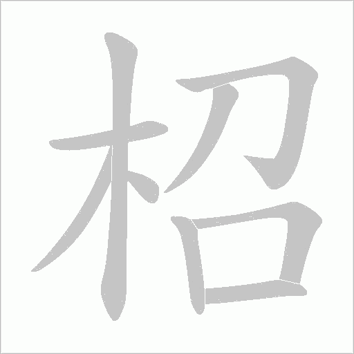 柖字笔顺动画