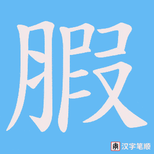 腵字笔顺动画