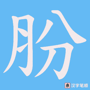 肦字笔顺动画
