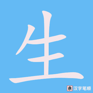 生字笔顺动画