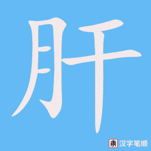 肝字笔顺动画