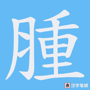 腫字笔顺动画