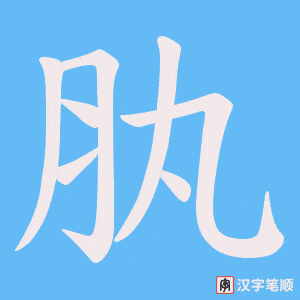 肒字笔顺动画