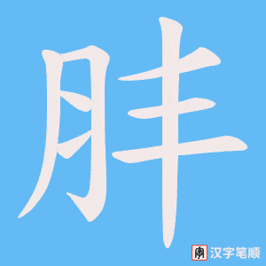 肨字笔顺动画