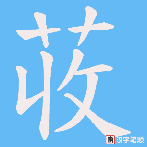 荍字笔顺动画