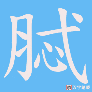 脦字笔顺动画