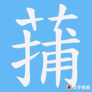 蒱字笔顺动画