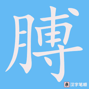 膊字笔顺动画