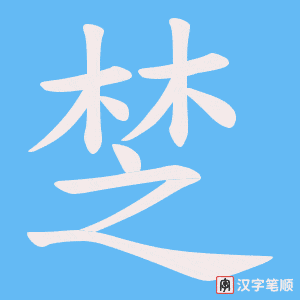 椘字笔顺动画