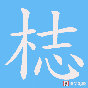 梽字笔顺动画
