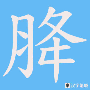 胮字笔顺动画
