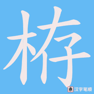 栫字笔顺动画