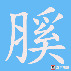 膎字笔顺动画