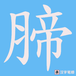 腣字笔顺动画