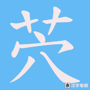 茓字笔顺动画