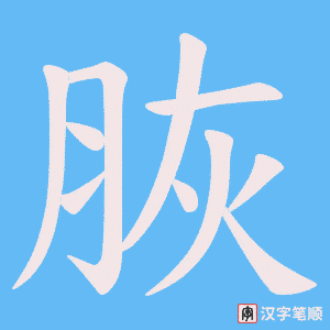脄字笔顺动画