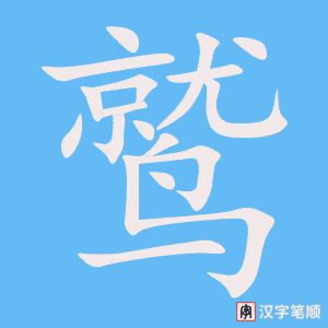 鹫字笔顺动画