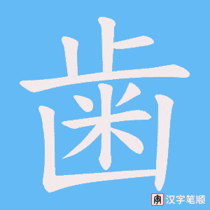 歯字笔顺动画